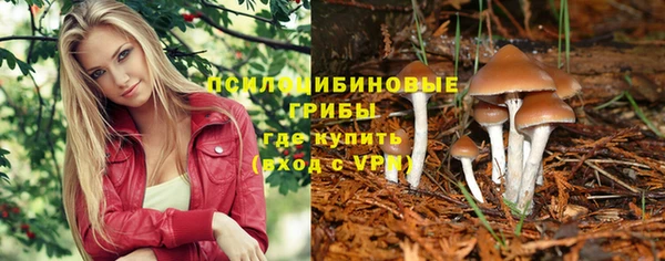 MESCALINE Белокуриха
